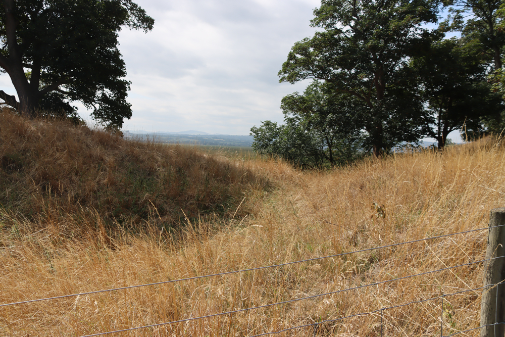 Fortification at Burton Point