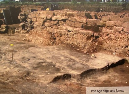 Photograph of the excavation showing a section of Iron Age field system