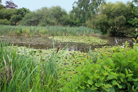 One of the views from the bridge
