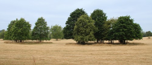 Across the parched fields on the way to the chapel