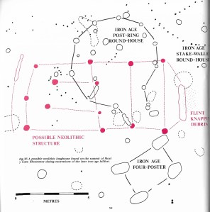 Sketch of the possible Neolithic structure 