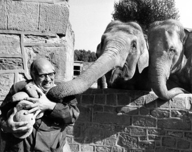 Elephant keeper Les Hill, September, 1977