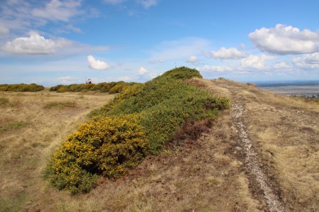 Inner rampart