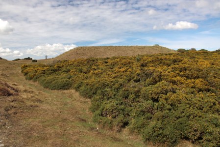 The reservoir