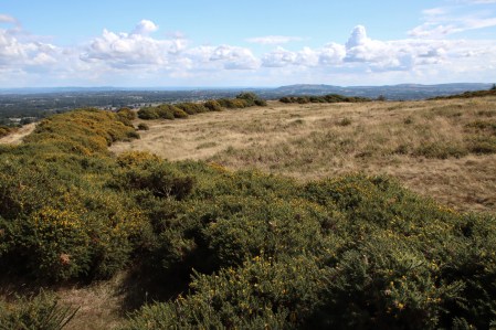 Another section of the inner rampart
