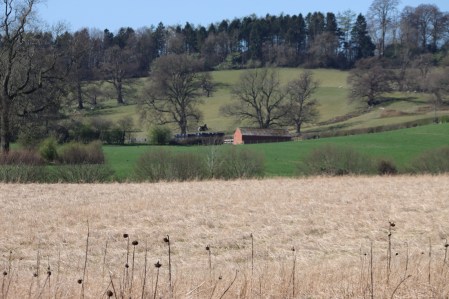 View from the foot of the west entrance