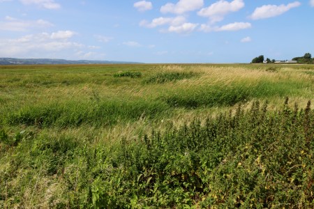 View along the Dee Estuary to the northwest