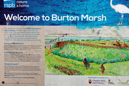 Imaginative reconstruction of how an Iron Age site may have looked