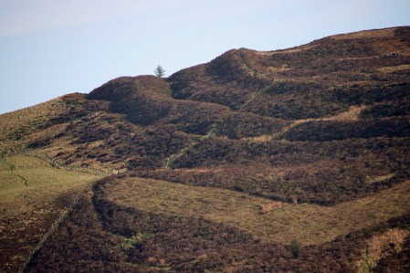 Western ramparts of Moel Fenlli