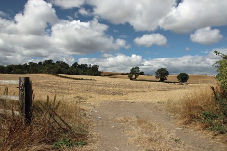 View across the fields at the entrance to the hillfort