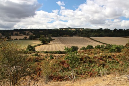 View east from the plateau