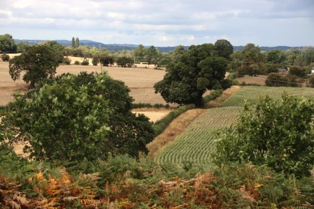 The line of Wat's Dyke