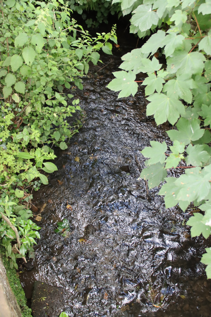 The river Gowy