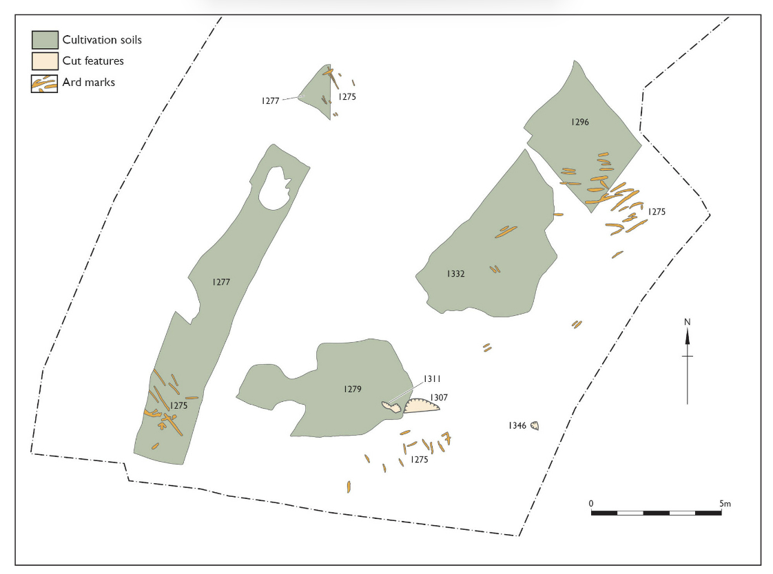 Amphitheatre cultivation and ard marks Phase 1c