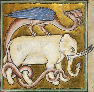 Elephant and wyvern. early 13th century, nature and myth entangles. Royal MS12 C XIX.