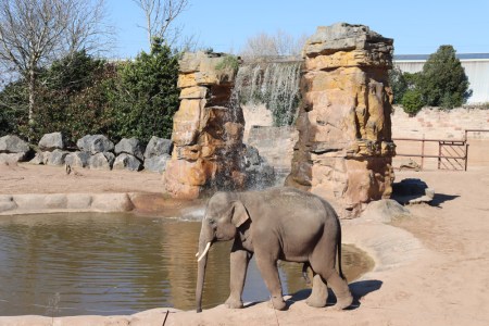 Chester Zoo, 18th March 2025